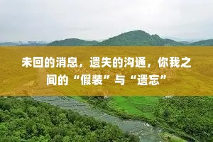 未回的消息，遗失的沟通，你我之间的“假装”与“遗忘”