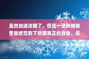 虽然知道该睡了，但是一进到棉被里就感觉到了所谓真正的自由，反而精神都来了。