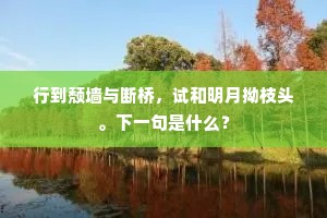门自不如市，宁称心水如。全诗是什么？