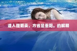 为怜他、种种清香，好难为不醉。上一句是什么？