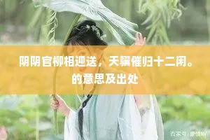 流年暗度惆怅甚，回首不胜悲！的释义