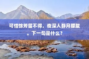 巫阳下，招取散魂，双阙岧峣去天尺。全诗是什么？