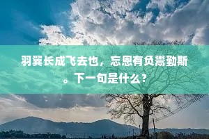 锋镝余生的释义