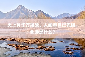 锋发韵流的成语解释