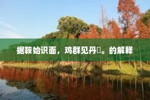 缝衣浅带的成语解释