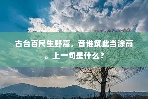 凤舞龙飞的解释