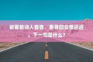 风清月皎的解释