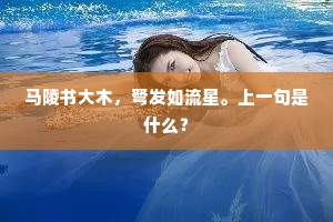 靖馆斋心成钜典，嘉坛报贶奉严禋。上一句是什么？