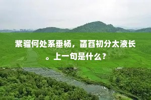心花落艳。似寂寞、枯禅退院。的释义