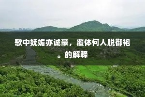 深喜轮台丹诏早，不妨渭水钓竿迟。的意思及出处