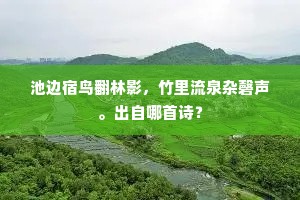 问可能相候，看灯深院，枇杷花下。下一句是什么？