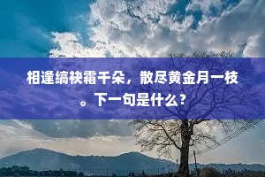 高步阔视的成语解释 高步阔视的成语解释