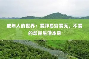 成年人的世界：易胖易穷易秃，不易的却是生活本身