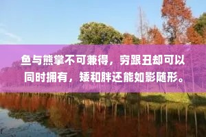 鱼与熊掌不可兼得，穷跟丑却可以同时拥有，矮和胖还能如影随形。