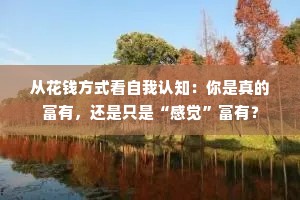 从花钱方式看自我认知：你是真的富有，还是只是“感觉”富有？