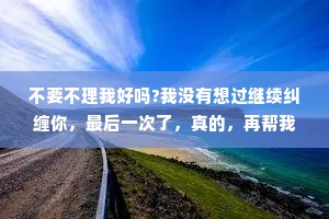 不要不理我好吗?我没有想过继续纠缠你，最后一次了，真的，再帮我砍一刀