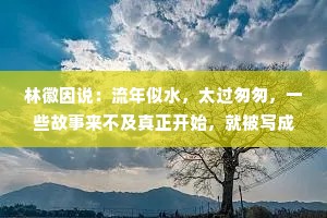 林徽因说：流年似水，太过匆匆，一些故事来不及真正开始，就被写成了昨天；一些人还没有好好相爱，就成了过客。