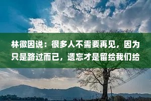 林徽因说：很多人不需要再见，因为只是路过而已，遗忘才是留给我们给彼此最好的纪念。