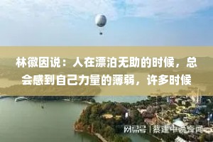林徽因说：人在漂泊无助的时候，总会感到自己力量的薄弱，许多时候，我们无力填平人生的沟渠，就只能任由流水东逝。可总有人不愿向岁月低头。