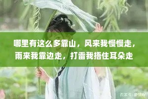 哪里有这么多靠山，风来我慢慢走，雨来我靠边走，打雷我捂住耳朵走，我一个人走，总会走到这条路的尽头。