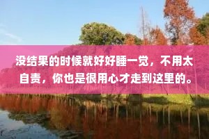 没结果的时候就好好睡一觉，不用太自责，你也是很用心才走到这里的。