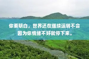 你要明白，世界还在继续运转不会因为你情绪不好就停下来。