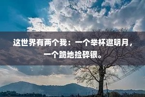 这世界有两个我：一个举杯邀明月，一个跪地捡碎银。