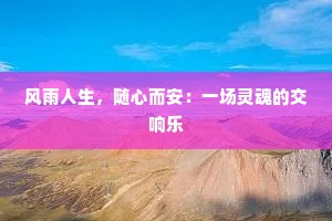 风雨人生，随心而安：一场灵魂的交响乐