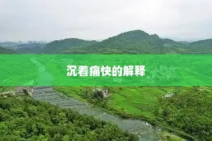 沉着痛快的解释