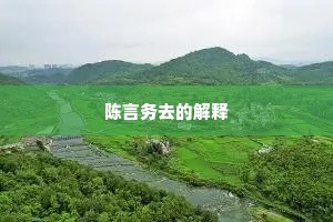 陈言务去的解释
