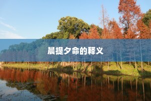 晨提夕命的释义