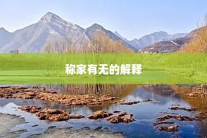 称家有无的解释