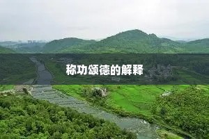称功颂德的解释