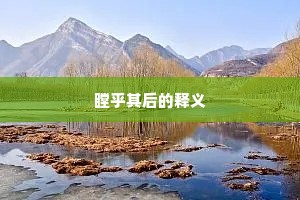 瞠乎其后的释义