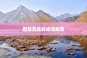 瞠目而视的成语解释
