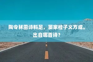拭砧散明月，投杵上清霜。的解释