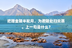 关河惨烈时将晚，原野萧条叶自飞。下一句是什么？