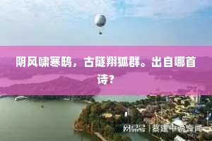 林间寻伴，灵魂共鸣之旅：共赴心灵盛宴，独行亦精彩，知己一生缘