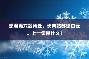 纷然快雪破空来，上下湖天此飞白。出自哪首诗？