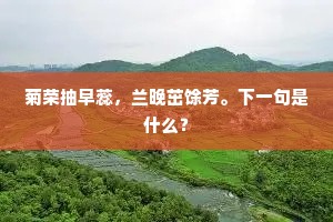 心海沉蜜，岁月温柔——以爱之名，跨越人生苦旅的甜蜜救赎