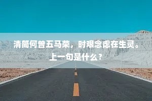 深夜松落，情满人间，月下的共鸣与哲思