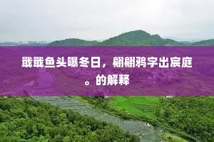 瘦应如我瘦，愁莫向人愁。全诗是什么？