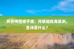 她真可爱，一句平凡中的不凡，触动心弦的哲思