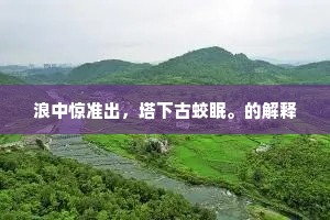 逆旅人生，勇赴心之所向