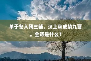 每一次共鸣，都是灵魂深处的温柔抚摸