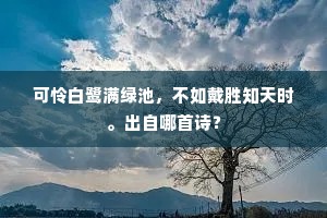观隅反三的成语解释