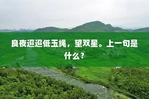 那能拔置清凉界，借与天池洗热肠。的意思及出处