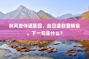 举示杜撰提唱，刚要达磨点头。全诗是什么？