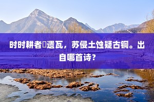 广寒仙子的解释