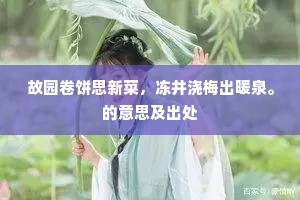 忆我孤吟苦，诗成孰寄将。的解释